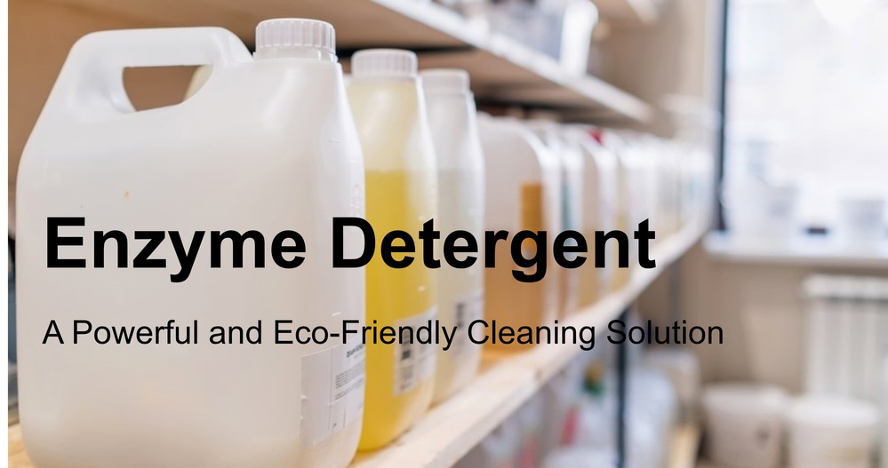 Enzyme Detergent